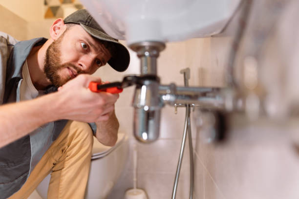 Best Septic Systems  in Honea Path, SC